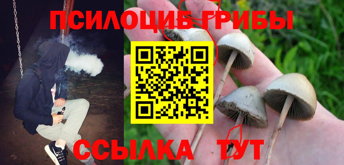 Галлюциногенные грибы прущие грибы Вольск